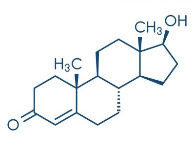 Cos’è il testosterone