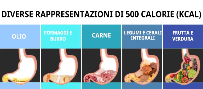 diverse rappresentazioni di 500 calorie