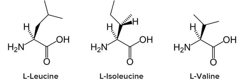 la componente aminoacidica perfetta