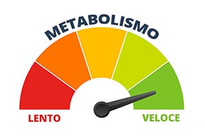 Come accelerare il metabolismo