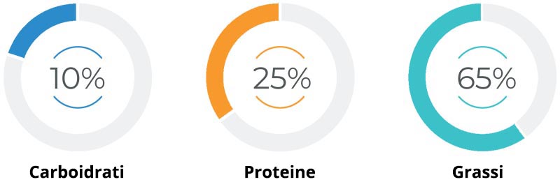 il rapporto tra macronutrienti nella dieta low carb