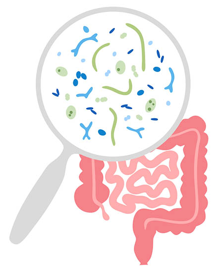 probiotici e prebiotici