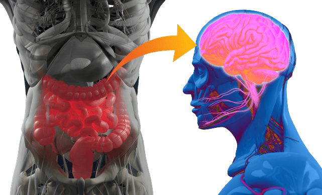 Studi sulla correlazione tra probiotici e benessere