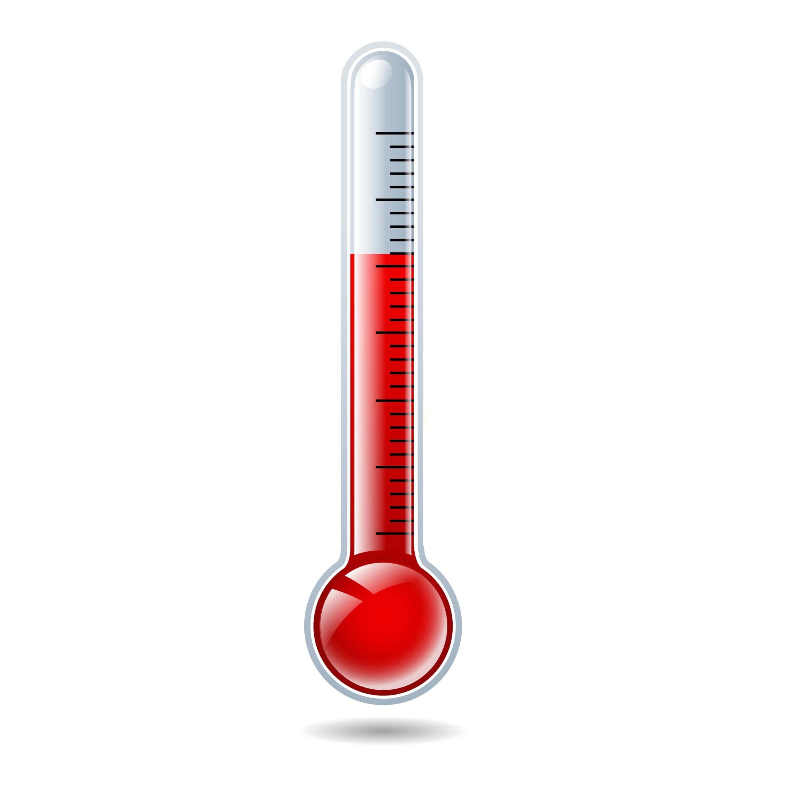 Termogenesi - significato